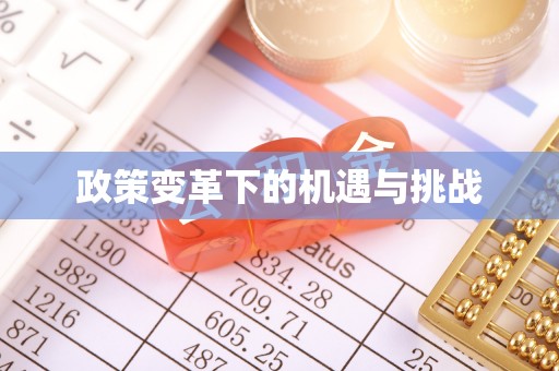 蒸湘政策变革下的机遇与挑战