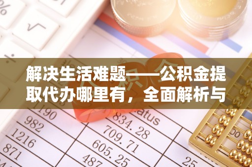 蒸湘解决生活难题——公积金提取代办哪里有，全面解析与服务推荐