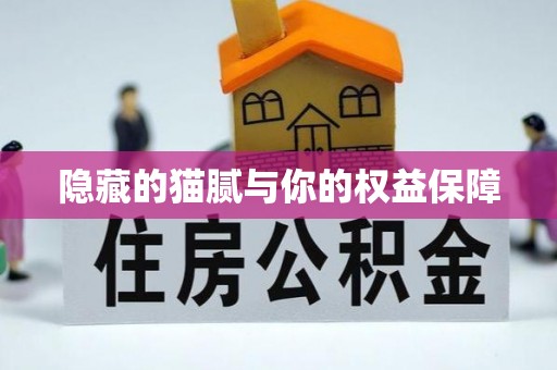 蒸湘隐藏的猫腻与你的权益保障