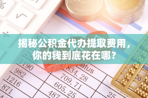 蒸湘揭秘公积金代办提取费用，你的钱到底花在哪？