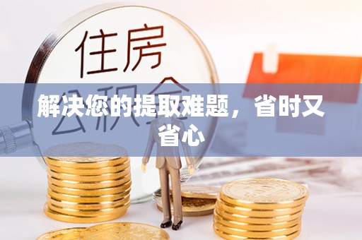 蒸湘解决您的提取难题，省时又省心
