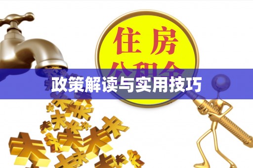 蒸湘政策解读与实用技巧
