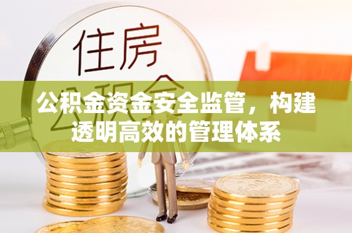 蒸湘公积金资金安全监管，构建透明高效的管理体系
