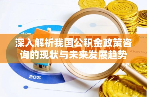 蒸湘深入解析我国公积金政策咨询的现状与未来发展趋势