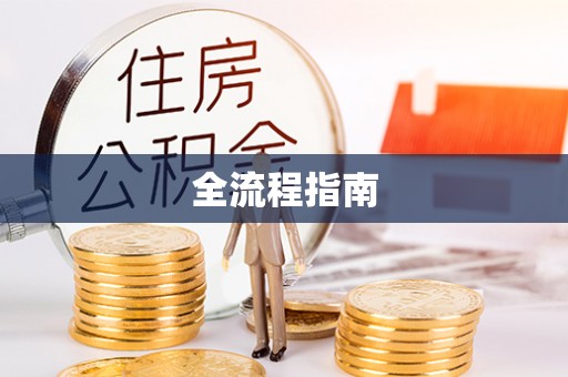 蒸湘全流程指南