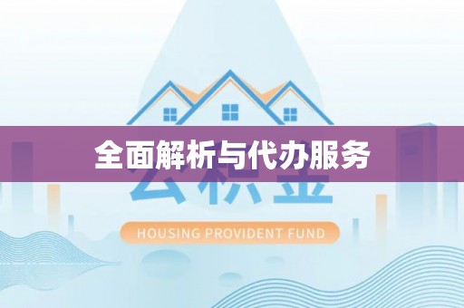 蒸湘全面解析与代办服务