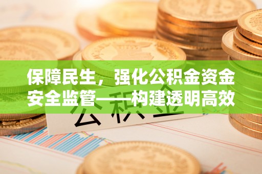 蒸湘保障民生，强化公积金资金安全监管——构建透明高效的管理体系