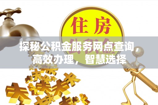 蒸湘探秘公积金服务网点查询，高效办理，智慧选择