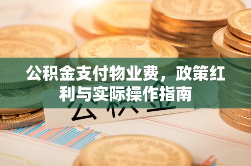 蒸湘公积金支付物业费，政策红利与实际操作指南