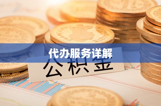 蒸湘代办服务详解