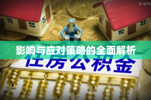 蒸湘影响与应对策略的全面解析