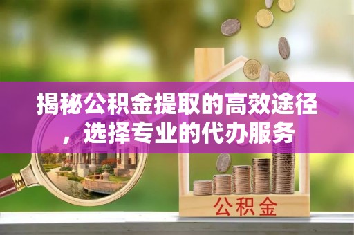 蒸湘揭秘公积金提取的高效途径，选择专业的代办服务
