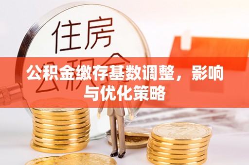 蒸湘公积金缴存基数调整，影响与优化策略