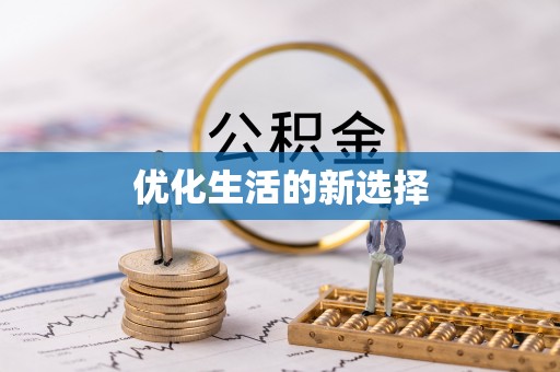 蒸湘优化生活的新选择
