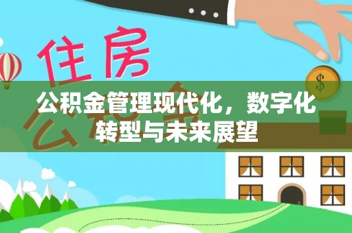 蒸湘公积金管理现代化，数字化转型与未来展望
