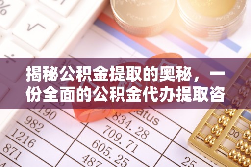 蒸湘揭秘公积金提取的奥秘，一份全面的公积金代办提取咨询指南