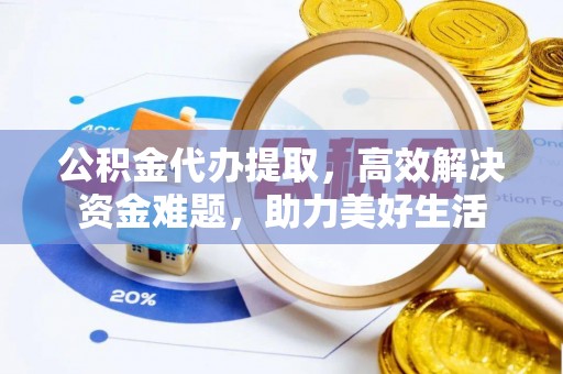 蒸湘公积金代办提取，高效解决资金难题，助力美好生活