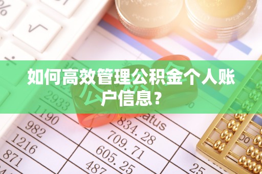 蒸湘如何高效管理公积金个人账户信息？