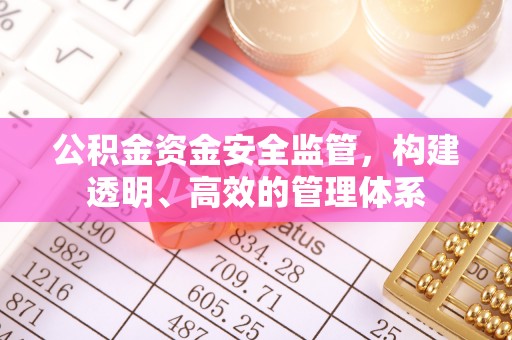 蒸湘公积金资金安全监管，构建透明、高效的管理体系