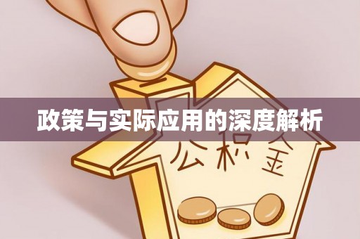 蒸湘政策与实际应用的深度解析