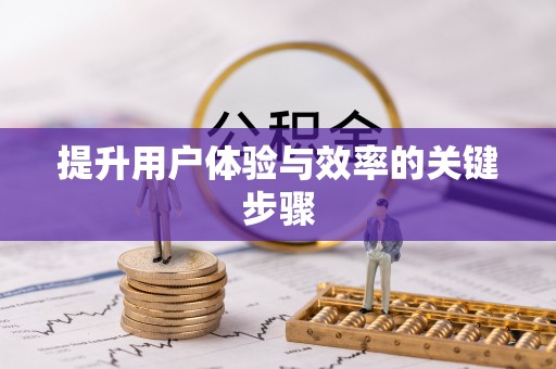蒸湘提升用户体验与效率的关键步骤