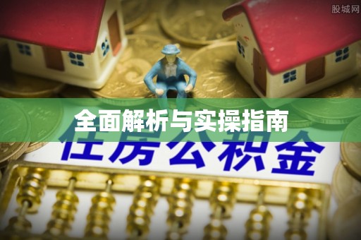 蒸湘全面解析与实操指南