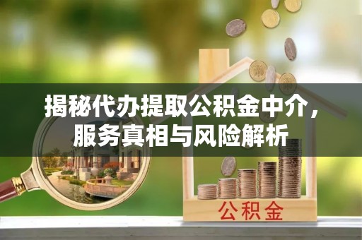 蒸湘揭秘代办提取公积金中介，服务真相与风险解析