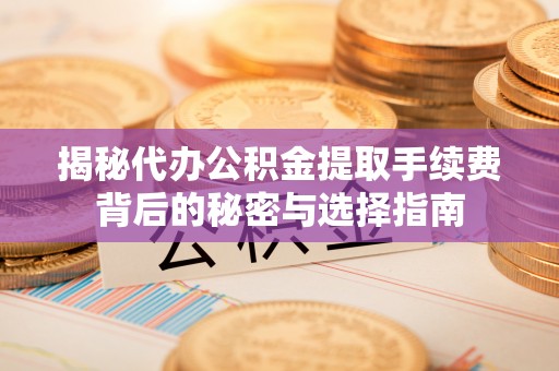 蒸湘揭秘代办公积金提取手续费背后的秘密与选择指南