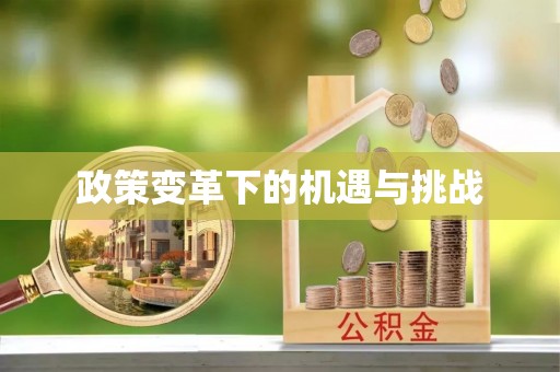 蒸湘政策变革下的机遇与挑战