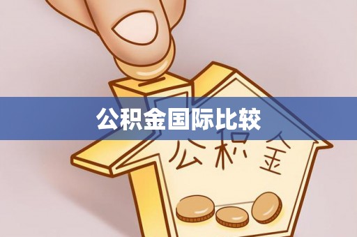 蒸湘公积金国际比较