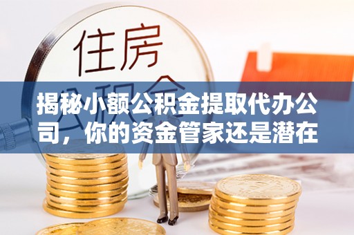 蒸湘揭秘小额公积金提取代办公司，你的资金管家还是潜在风险？