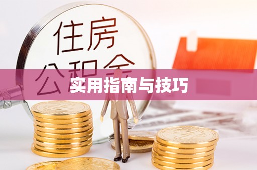 蒸湘实用指南与技巧