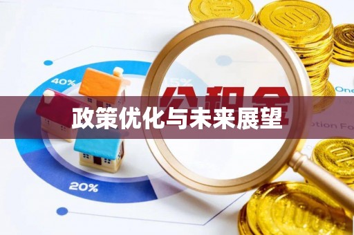 蒸湘政策优化与未来展望