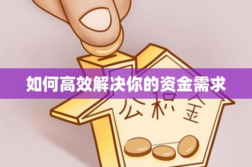 蒸湘如何高效解决你的资金需求