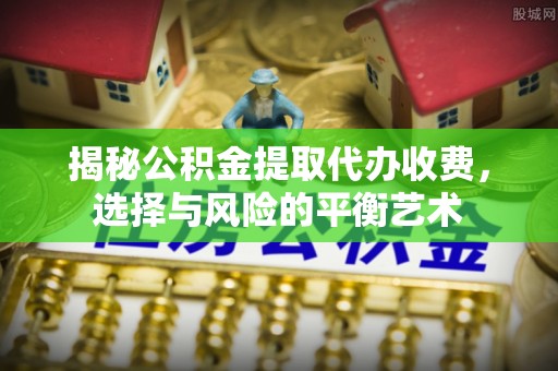 蒸湘揭秘公积金提取代办收费，选择与风险的平衡艺术