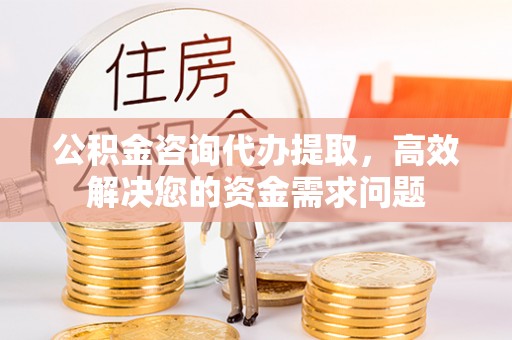 蒸湘公积金咨询代办提取，高效解决您的资金需求问题