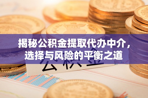 蒸湘揭秘公积金提取代办中介，选择与风险的平衡之道