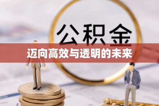 蒸湘迈向高效与透明的未来