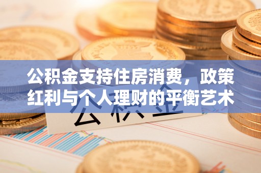 蒸湘公积金支持住房消费，政策红利与个人理财的平衡艺术