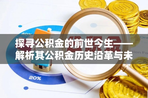 蒸湘探寻公积金的前世今生——解析其公积金历史沿革与未来方向
