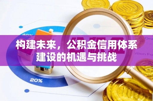 蒸湘构建未来，公积金信用体系建设的机遇与挑战