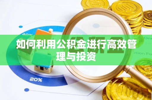 蒸湘如何利用公积金进行高效管理与投资