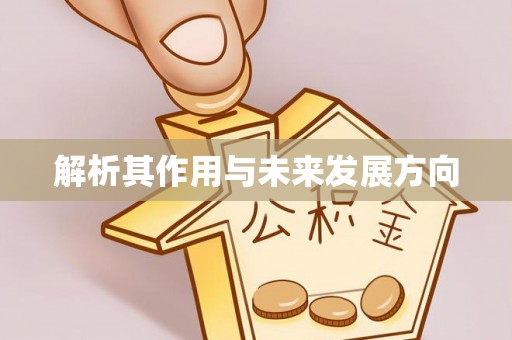 蒸湘解析其作用与未来发展方向