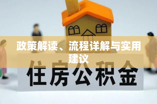 蒸湘政策解读、流程详解与实用建议