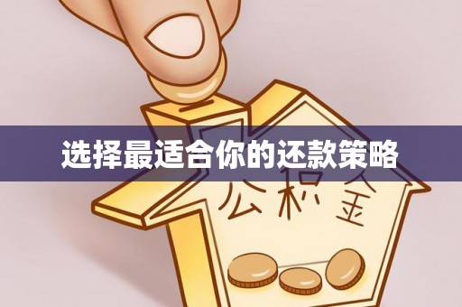 蒸湘选择最适合你的还款策略