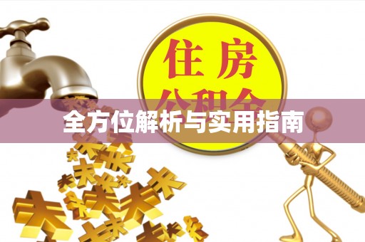 蒸湘全方位解析与实用指南