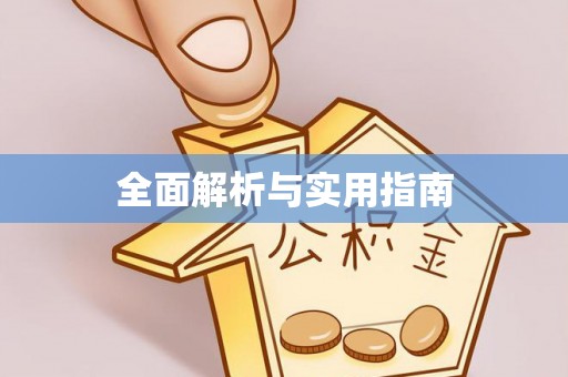 蒸湘全面解析与实用指南