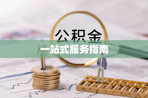 蒸湘一站式服务指南