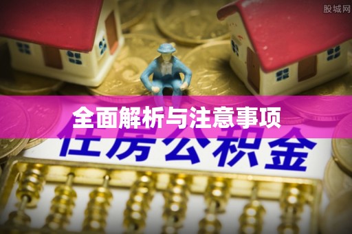 蒸湘全面解析与注意事项