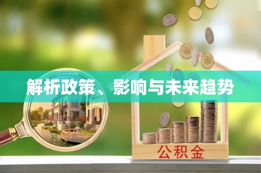 蒸湘解析政策、影响与未来趋势